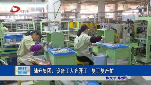 陸升集團 設(shè)備工人齊開工 復工復產(chǎn)忙